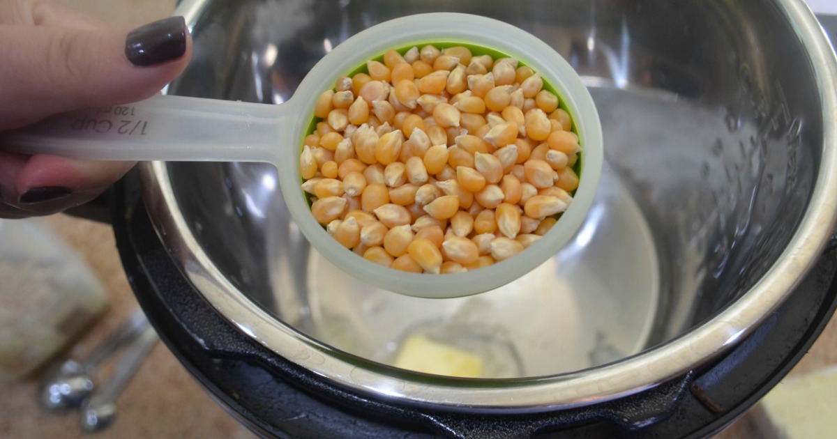 Hip2Save's Top 10 Recipe & DIY Posts of All Time &ndash;&ndash; instant pot hacks