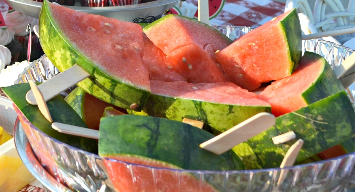 melon recall possible salmonella contamination &ndash; fresh melon on Popsicle sticks