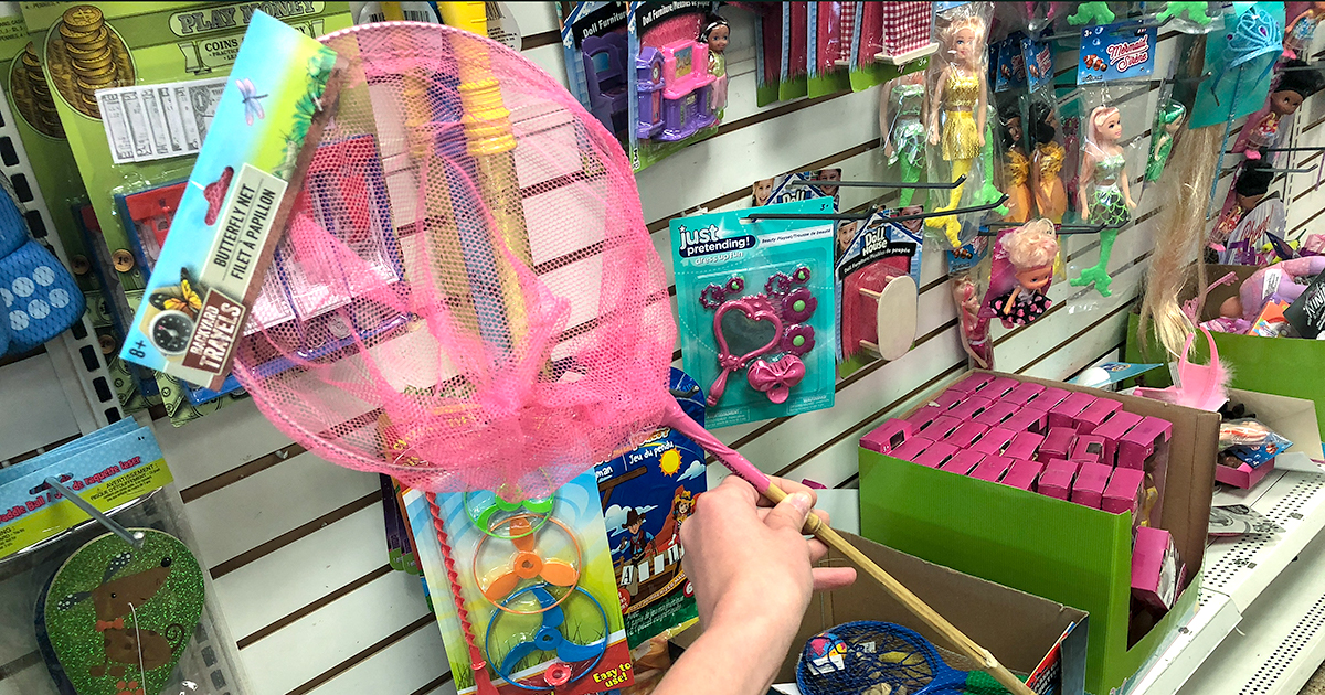 dollar tree pool supplies and fun hacks &mdash; butterfly net for the pool