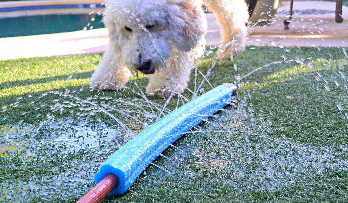 dollar tree pool supplies and fun hacks &mdash; pool noodle sprinkler hack