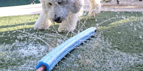 Have Some Frugal Fun in the Sun with These Dollar Tree Pool Products and Hacks