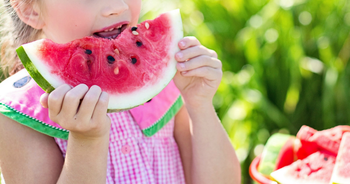 melon recall possible salmonella contamination &ndash; fresh melon sliced