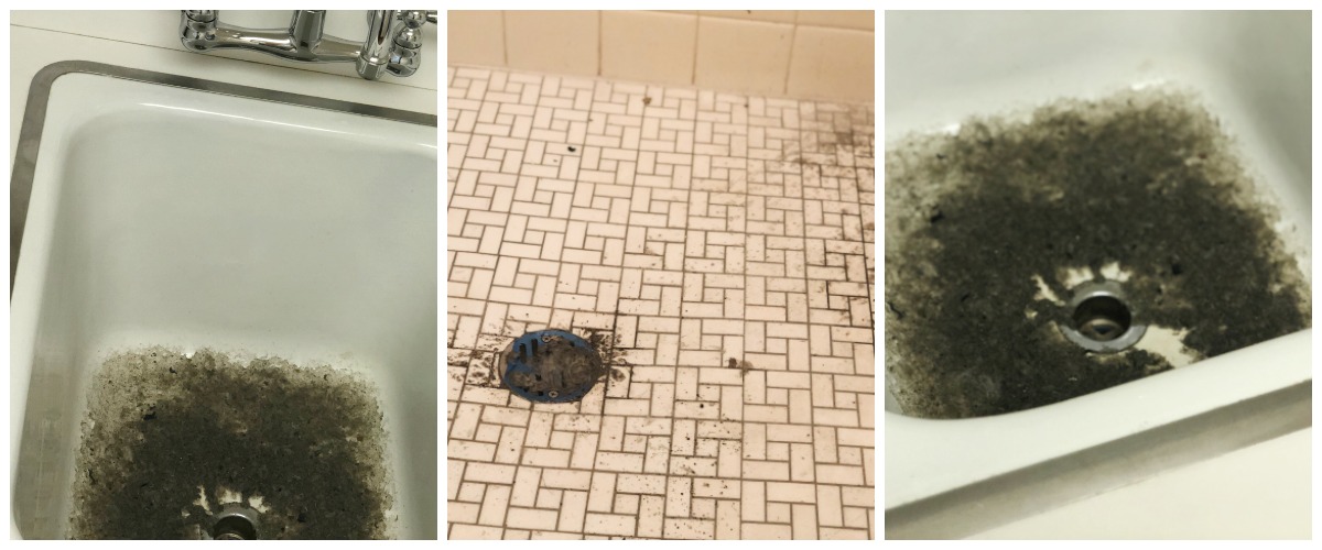 don't flush flushable wipes down into the plumbing &ndash; sink and shower with backup in plumbing