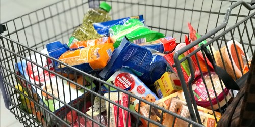 WOW! Thanksgiving Dinner for 10 Only $52 at ALDI – Including Dessert!