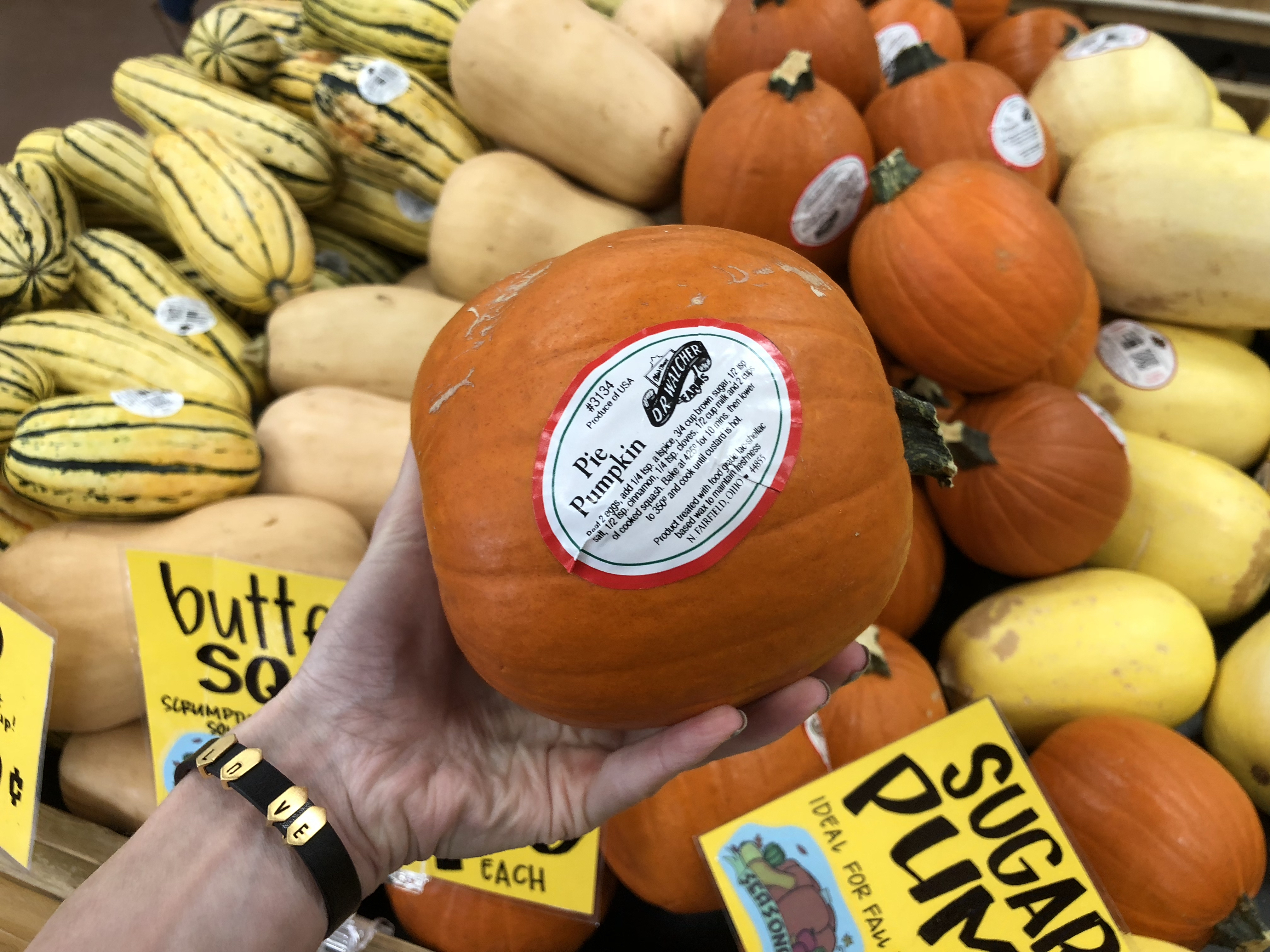Deals on Trader Joe's Pumpkin items &ndash; Pie Pumpkins at Trader Joe's