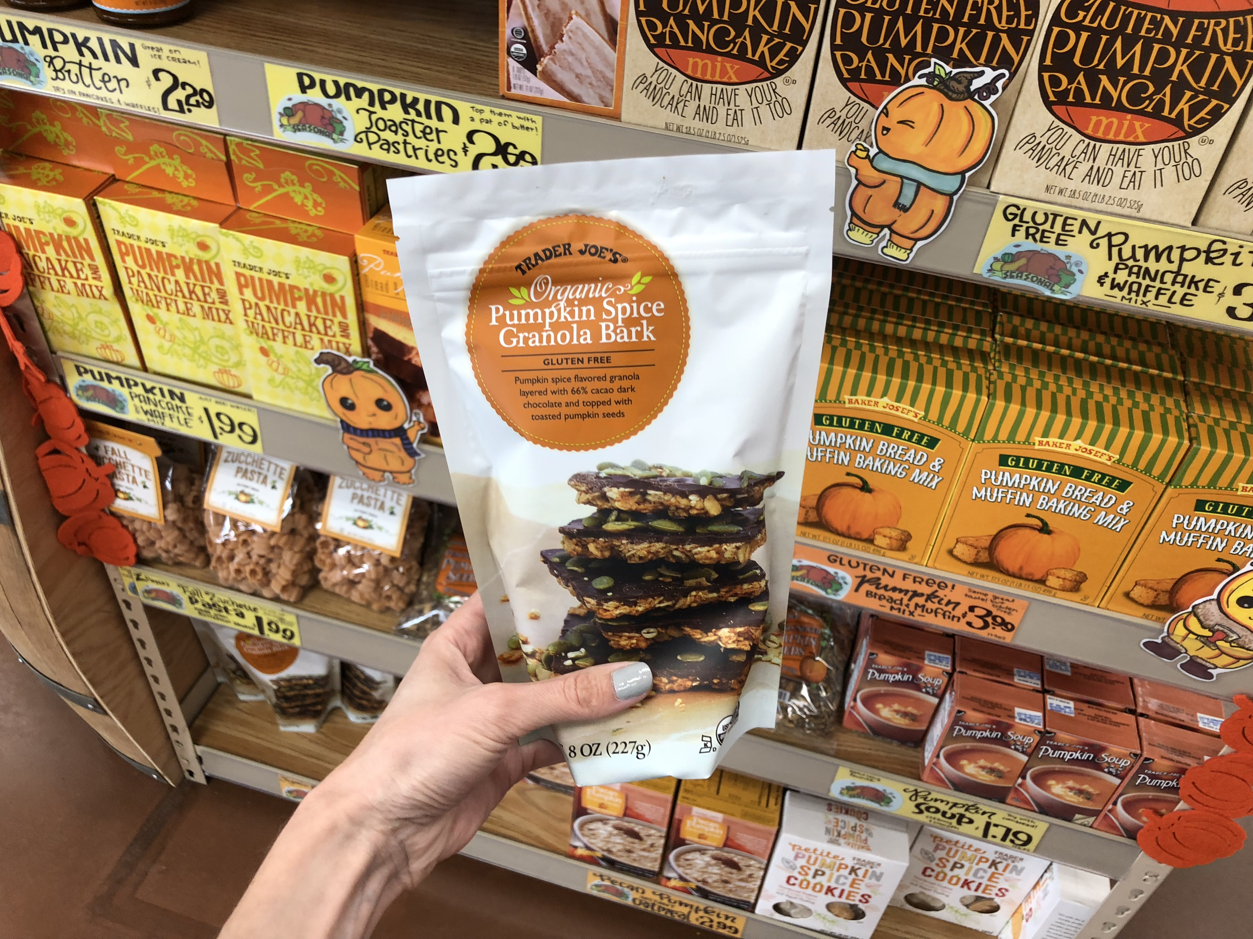 Deals on Trader Joe's Pumpkin items &ndash; Pumpkin Bark at Trader Joe's