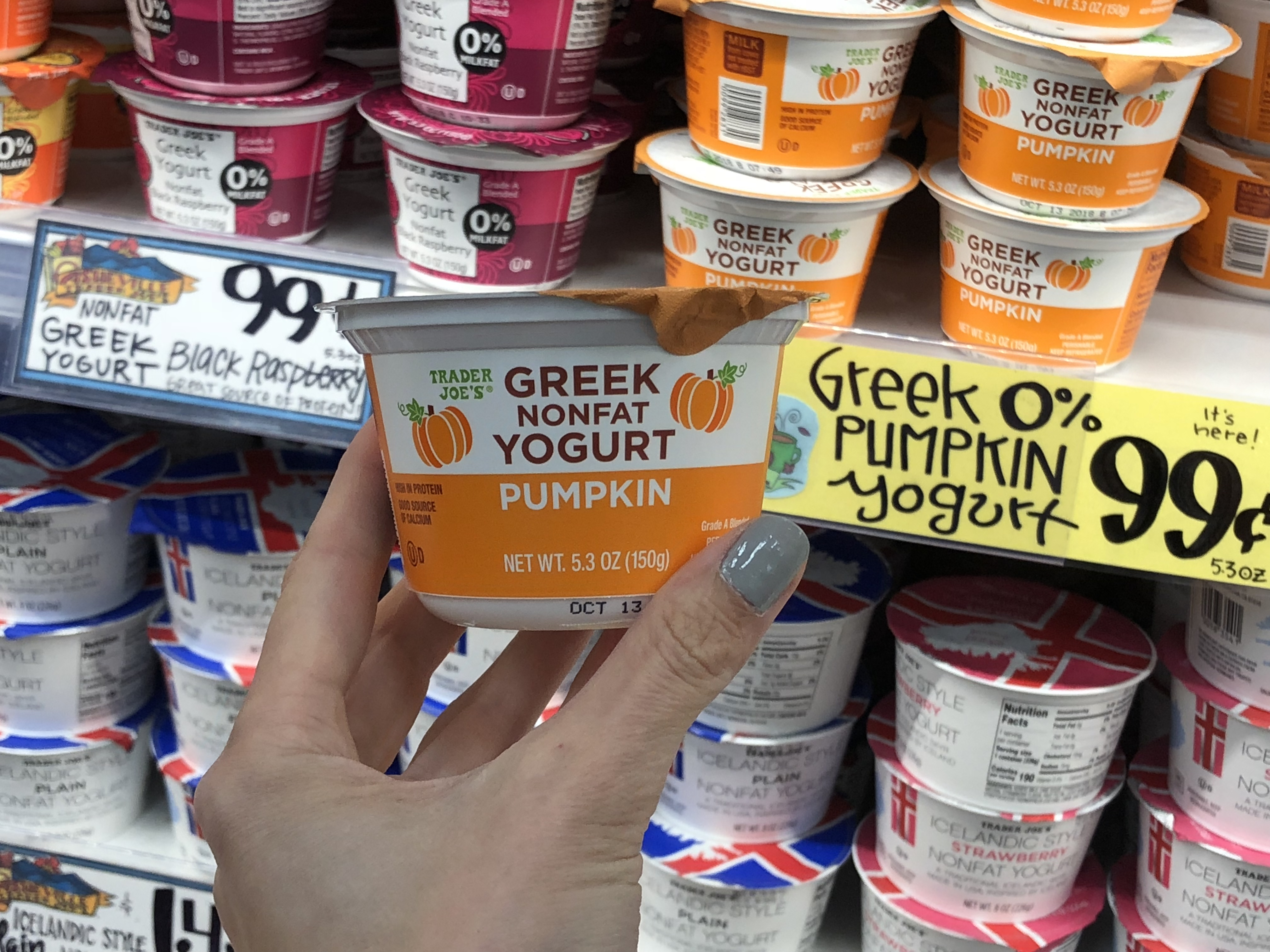 Deals on Trader Joe's Pumpkin items &ndash; Pumpkin Greek yogurt Trader Joe's
