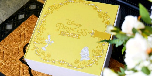 Disney Princess Subscription Boxes Are Now Available