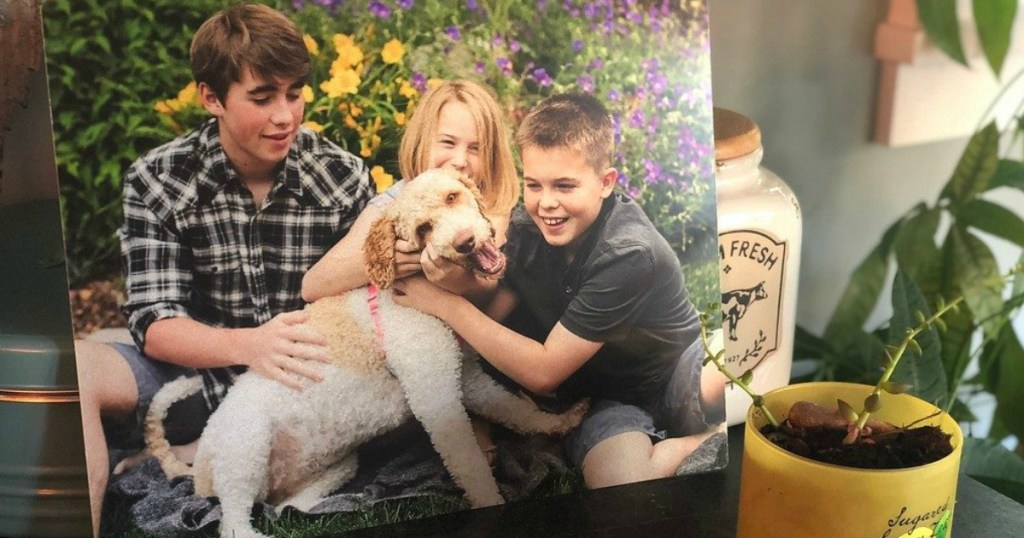 metal panel of collin's kids and dog