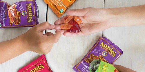 Annie’s Organic Fruit Snacks 24-Count Variety Pack Only $9.69 Shipped on Amazon (Just 40¢ Per Pouch)