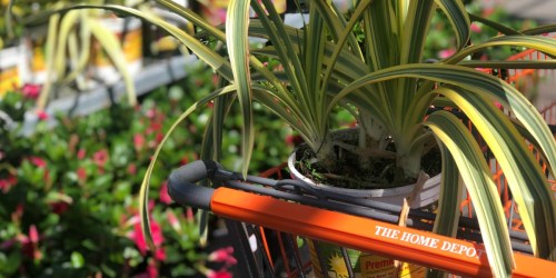 5 Simple Tips for Saving on Your Spring & Summer Projects at The Home Depot