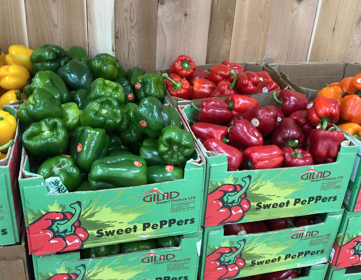 Trader Joe's sweet peppers in produce bins
