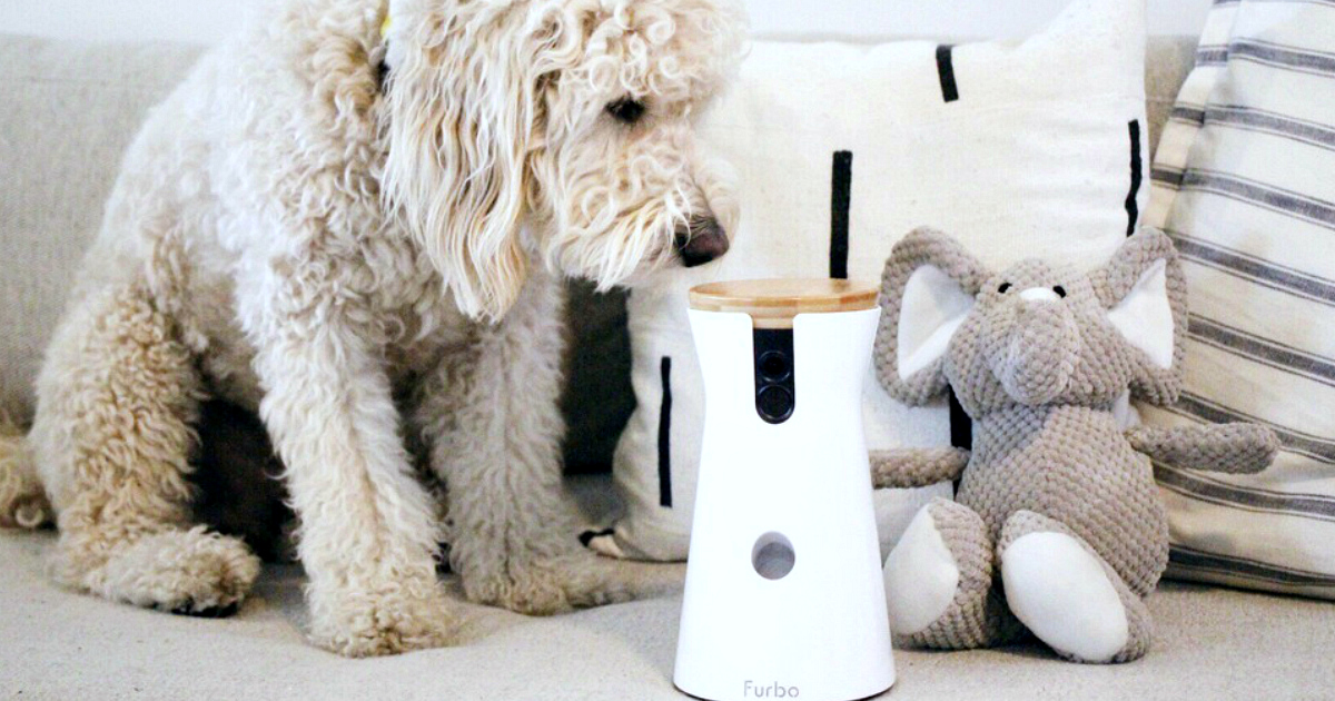 Furbo 360&ordm; Dog Camera & Treat Dispenser
