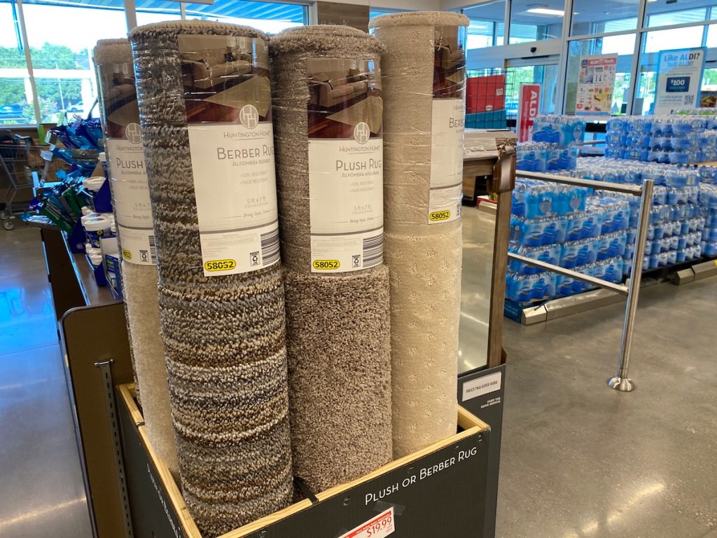 Berber or Plush area Rugs