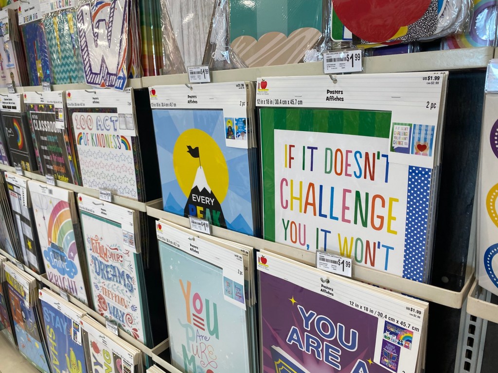 Classroom Posters in Michaels store