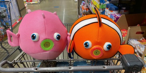 9 ALDI Finds That Will Add More Splash to Your Summer