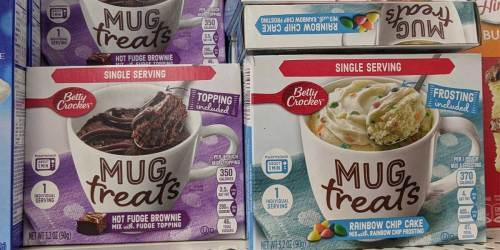 Betty Crocker Mug Treats Only $1 at Dollar Tree | Dessert In Less Than A Minute