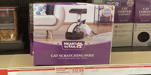 Cat Owners! ALDI Has Some Must-Buy Deals for Your Feline Friends