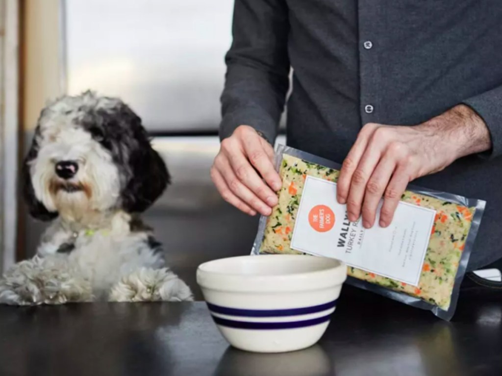 dog that is going to eat The Farmer's Dog fresh dog food