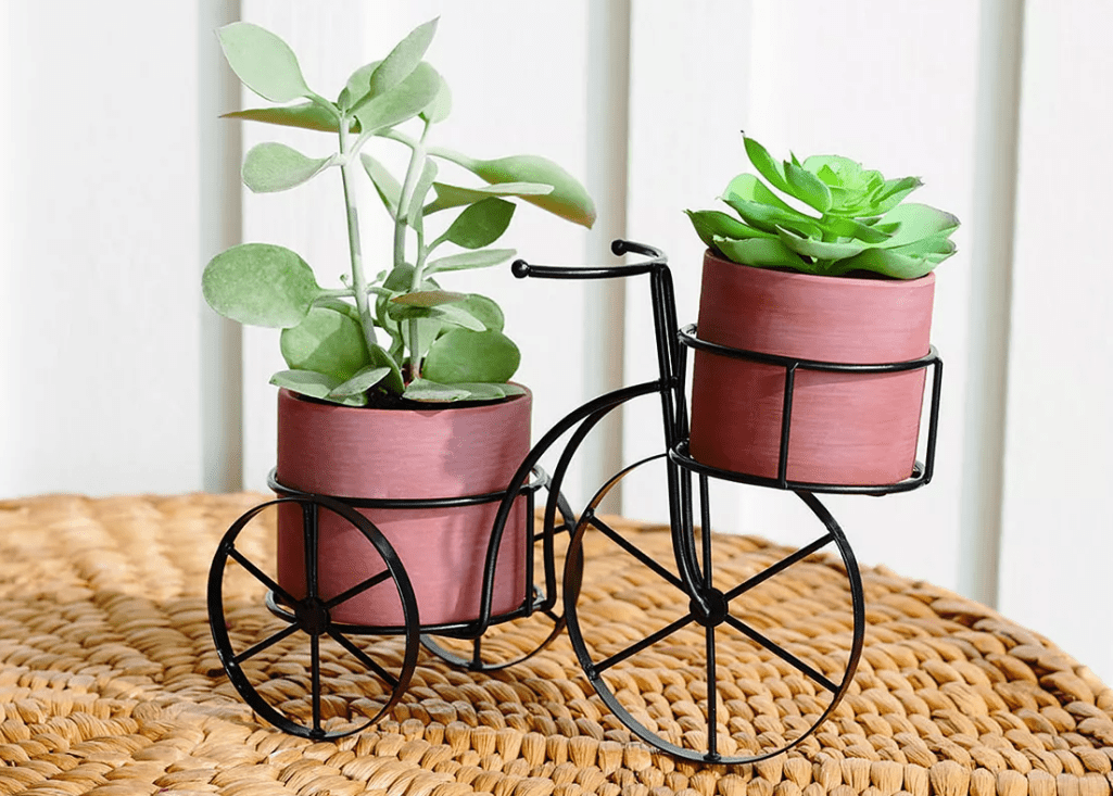 bike planter with two plants