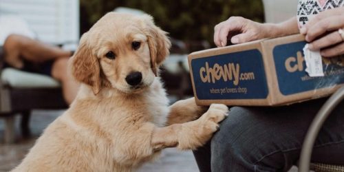 Chewy Claus Sweepstakes: Win Gifts for Your Pet + Donate to Pets in Need!