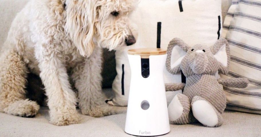 Up to 50% Off Furbo Pet Cameras & Treat Dispensers on Amazon