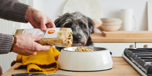 **50% Off The Farmer’s Dog Freshly Cooked Dog Food + FREE Delivery