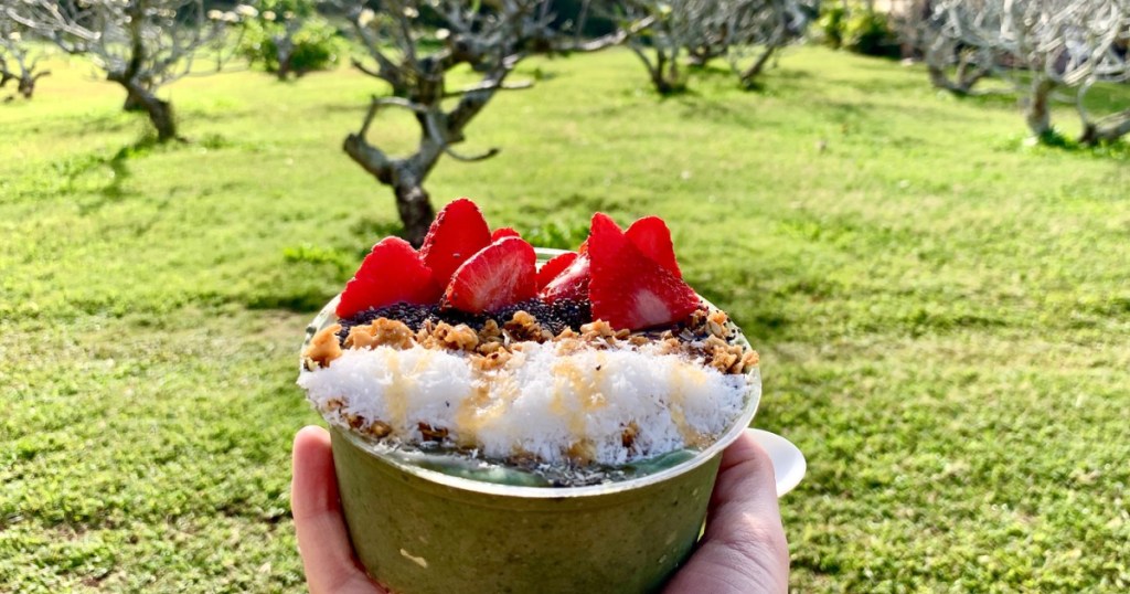 holding a&ccedil;a&iacute; bowl in Hawaii 