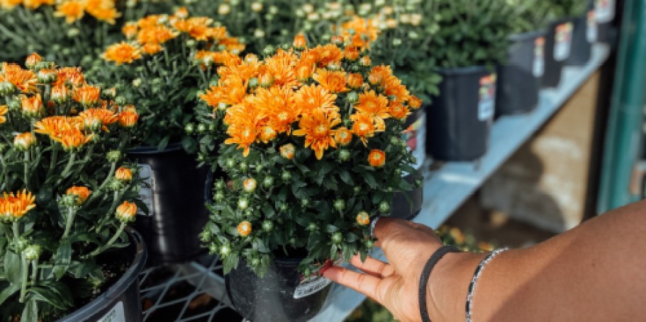 Last Chance to Shop the Home Depot Labor Day Sale!