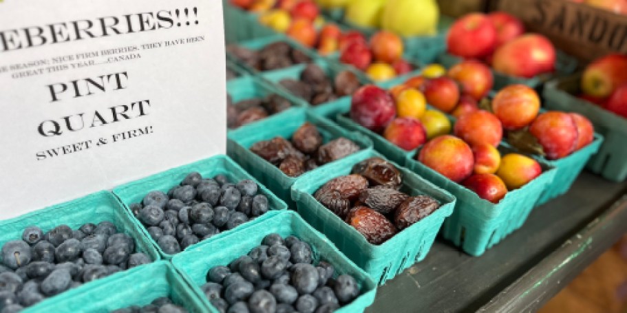 11 Must-Haves to Look for at the Farmer’s Market (Don’t Miss the Freebies!)