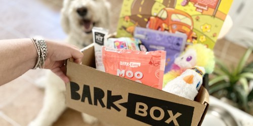 Your Pup Deserves This FREE Toy Offer!