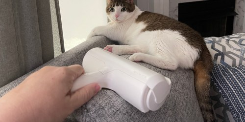 GO! Chom Chom Pet Hair Remover Roller Only $14.70 on Amazon (Reg. $25)