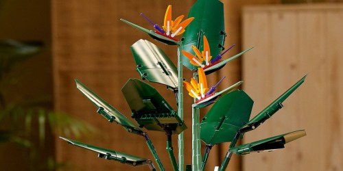 LEGO Bird of Paradise Set Just $79.99 Shipped on Target.com (Regularly $100)