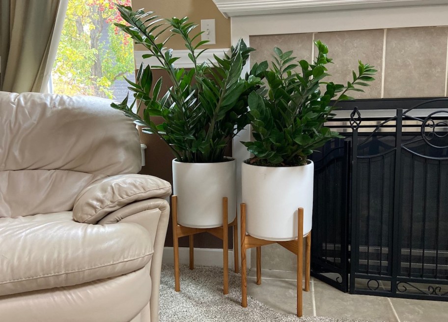 two white planters with green plants sitting in front of fireplace