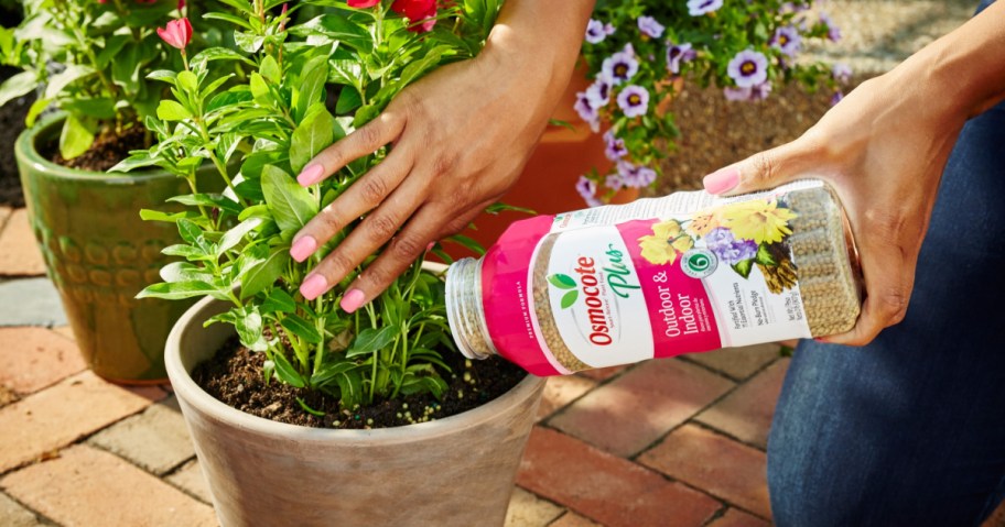 woman pouring osmocote into a plant pot
