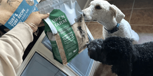 Open Farm Delivers the Most Nutritious Pet Food (+ Save 25% Off Dry Dog & Cat Food)