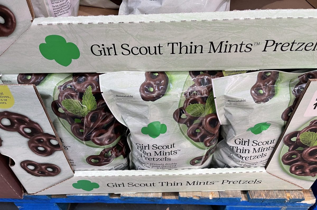 mint chocolate chip cookies