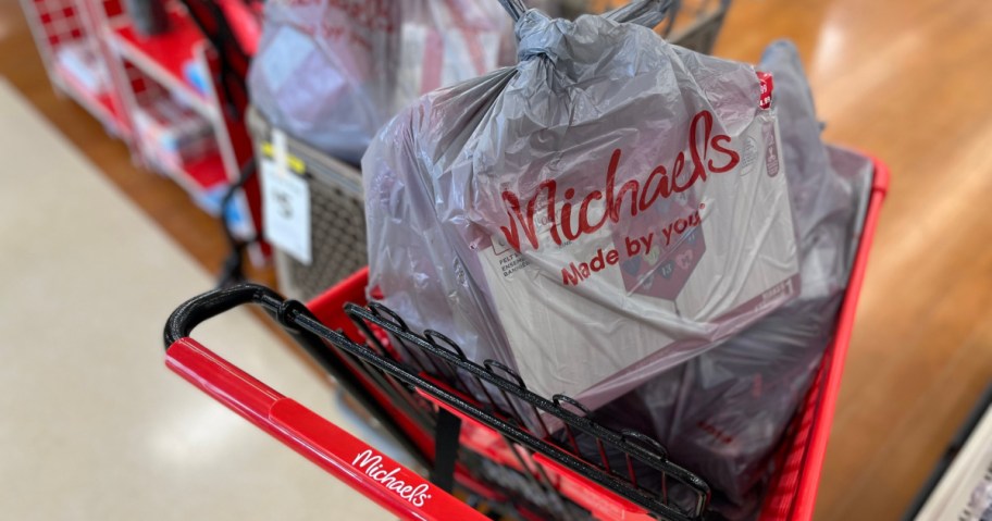 Michaels bag in a cart