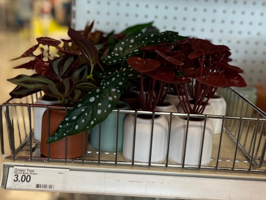 mini faux plants on store shelf