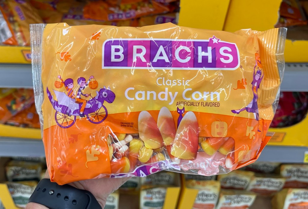 hand holding brachs candy corn candy