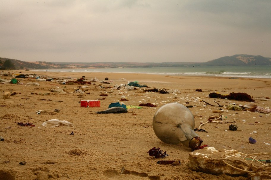 beach with trash on it