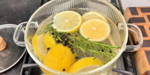 Cozy Up Your Space: 3 Fresh DIY Simmer Pot Recipes