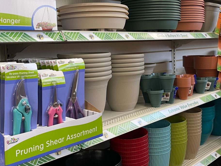 Dollar Tree Planters and Gardening Supplies