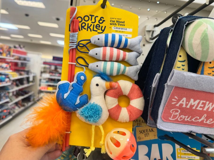 Target Boots & Barkley Fish & Rod