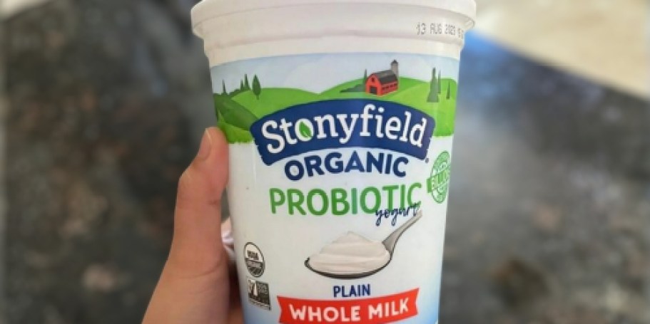 FREE 32oz Stonyfield Organic Yogurt Giveaway (Will Sell Out Again)