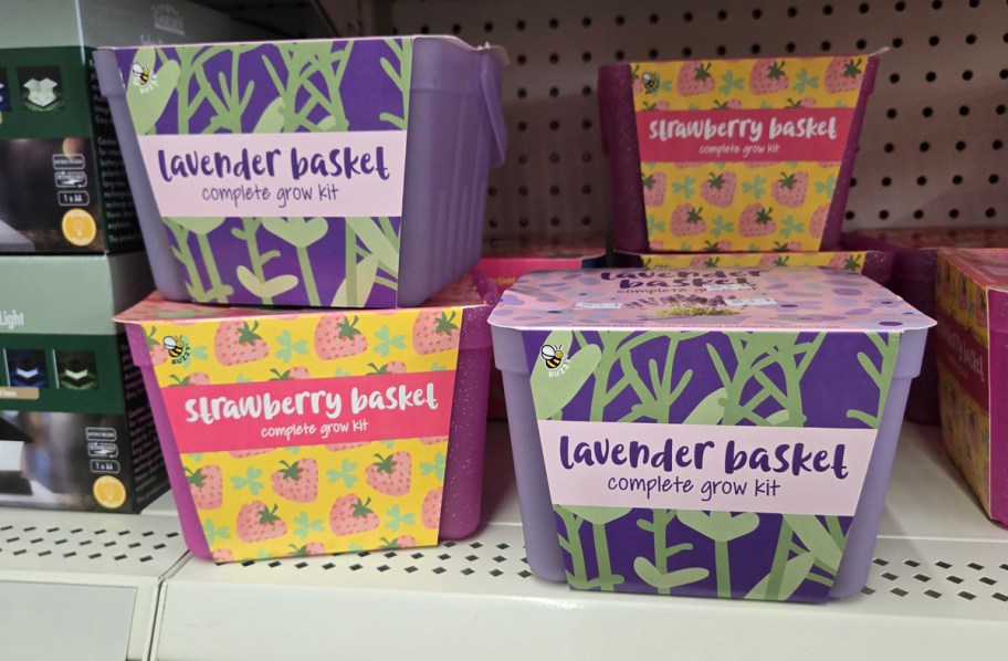 Complete Grow Kits at Dollar Tree