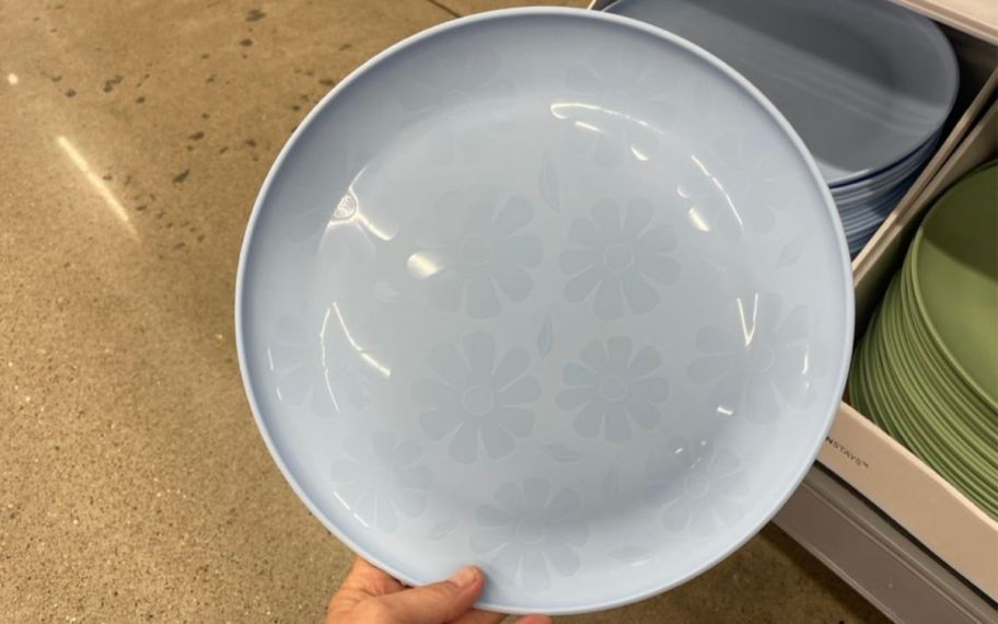 hand holding daisy plate