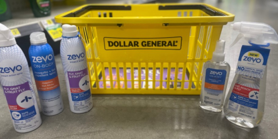 Dollar General Is Closing 141 Stores by January 2026