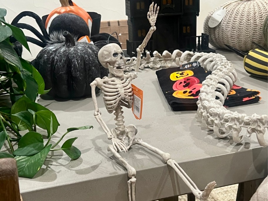 Hyde & EEK! Boutique 16" Posable Skeleton&nbsp;