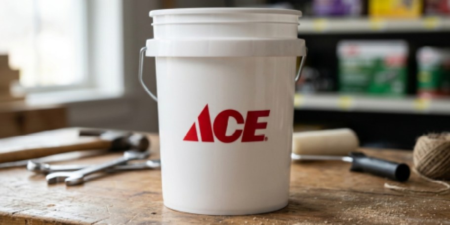 Hurry! FREE Mini Bucket at ACE Hardware (First 48 Only!)